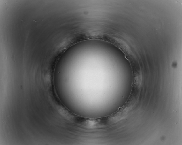 X0000102780662200808251117