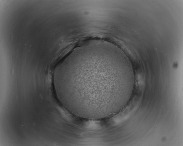 X0000102780664200808251117