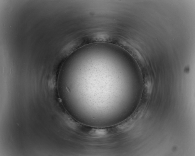 X0000102780665200808251117