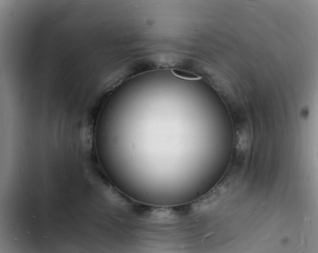 X0000102780666200808251117