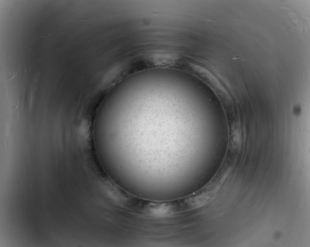 X0000102780667200808251117