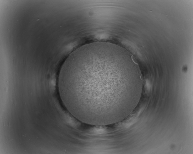 X0000102780668200808251117