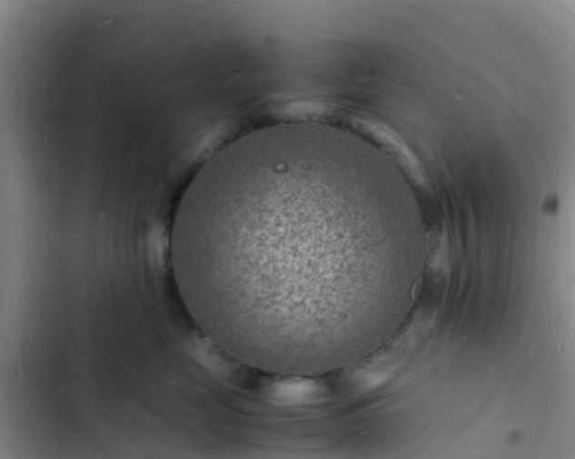 X0000102780669200808251117