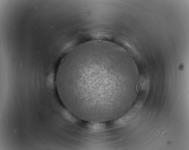 X0000102780670200808251117