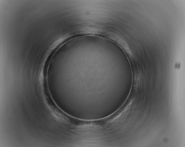 X0000102780674200808251116