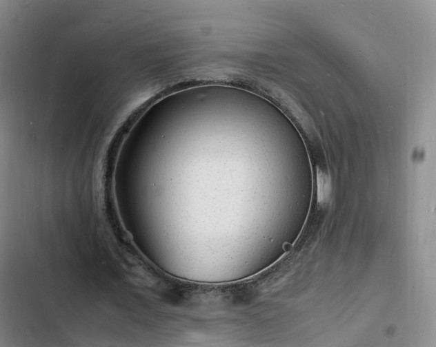 X0000102780675200808251116