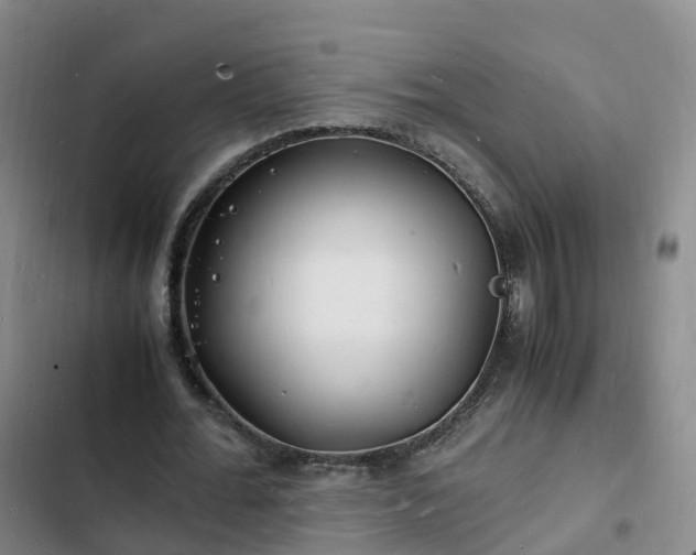 X0000102780676200808251116