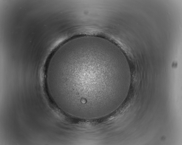 X0000102780679200808251116