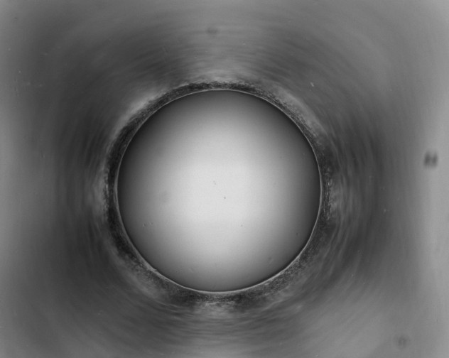 X0000102780680200808251116