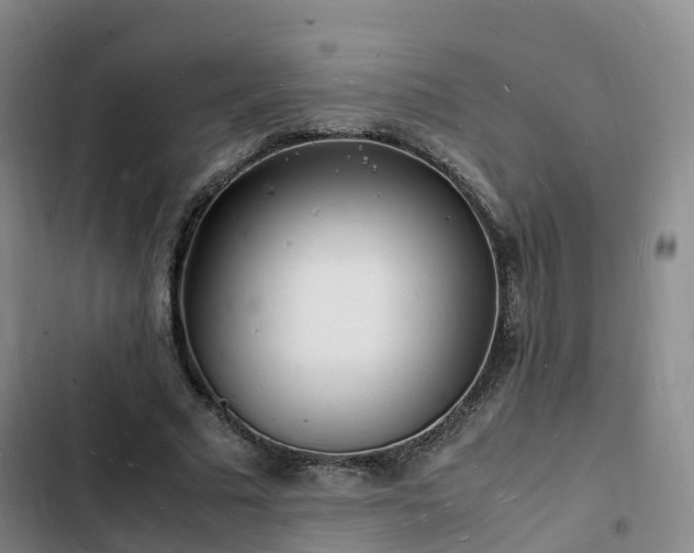 X0000102780681200808251116