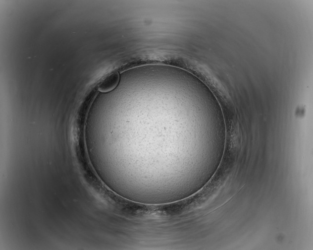 X0000102780683200808251116