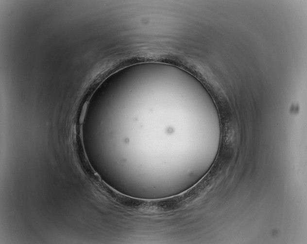 X0000102780685200808251116