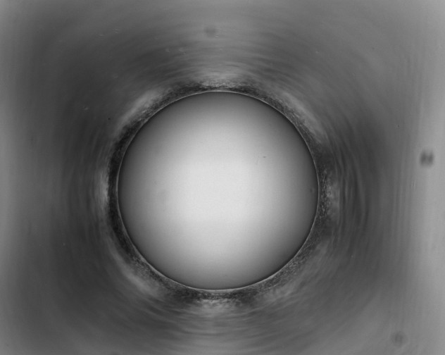 X0000102780686200808251116