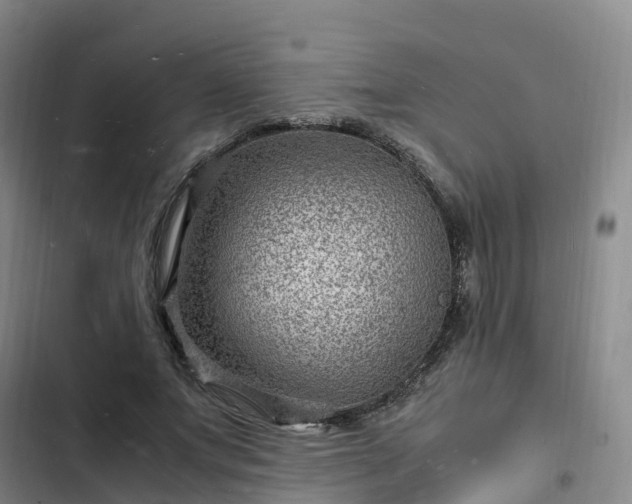 X0000102780687200808251116