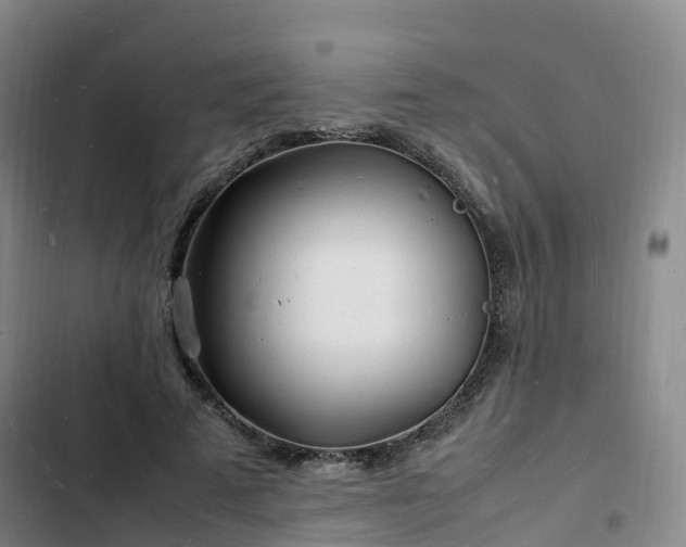 X0000102780689200808251116