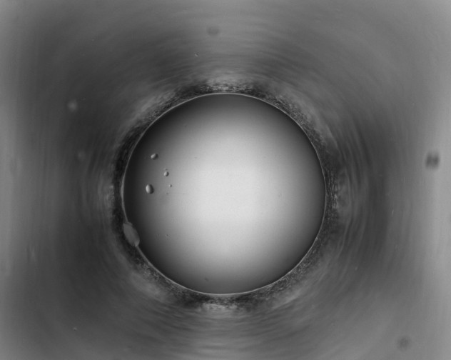 X0000102780690200808251116