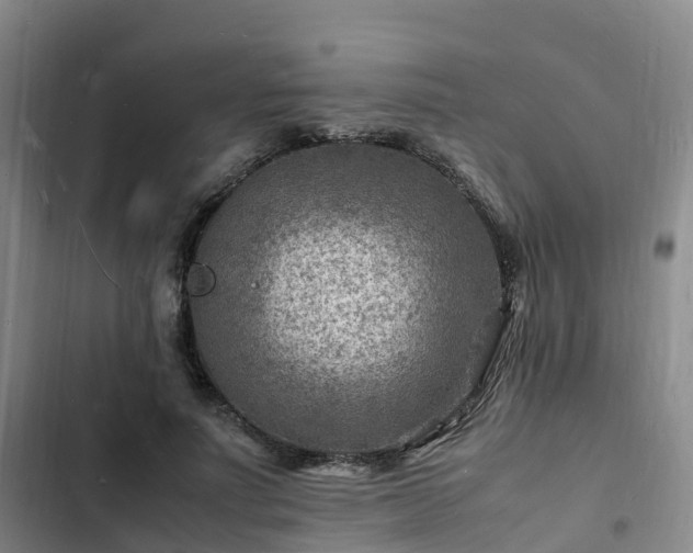 X0000102780691200808251116