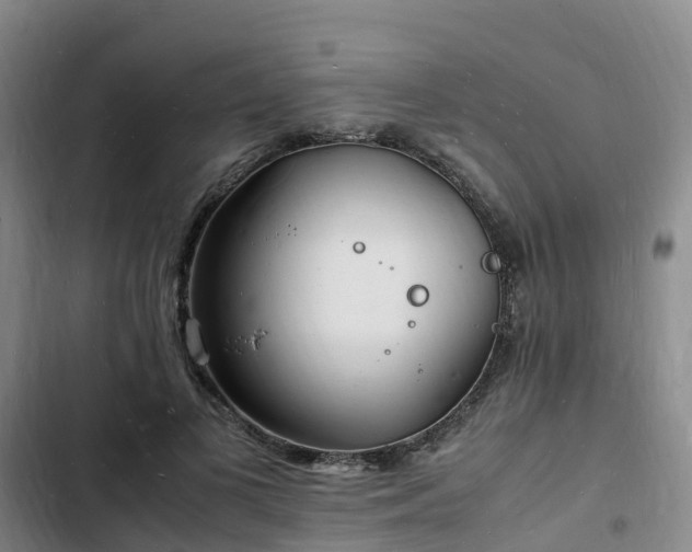 X0000102780693200808251116