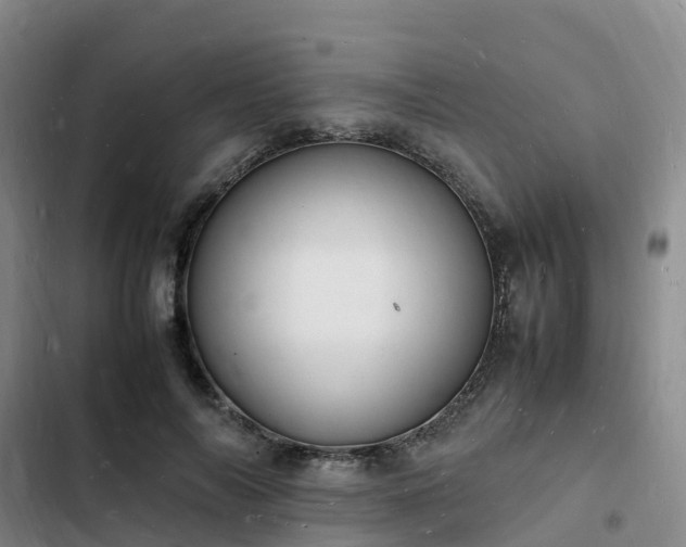 X0000102780694200808251116