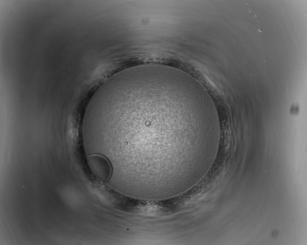 X0000102780695200808251116