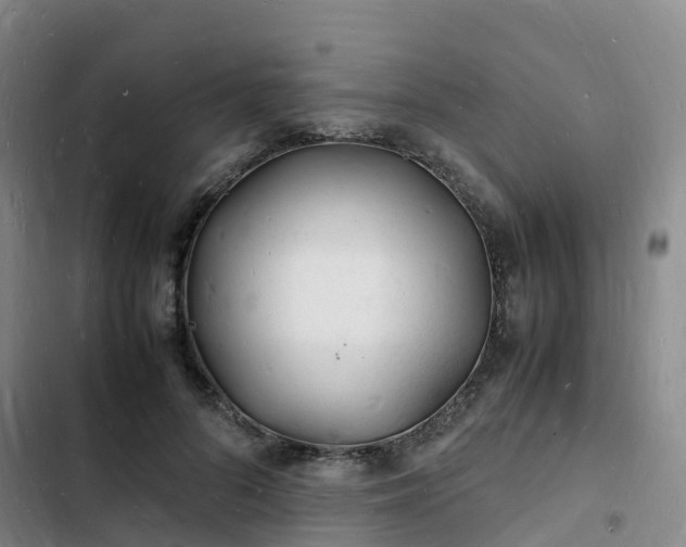 X0000102780696200808251116