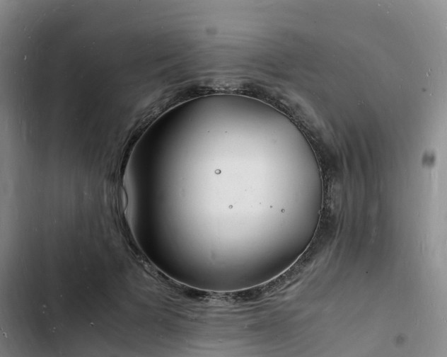 X0000102780697200808251116