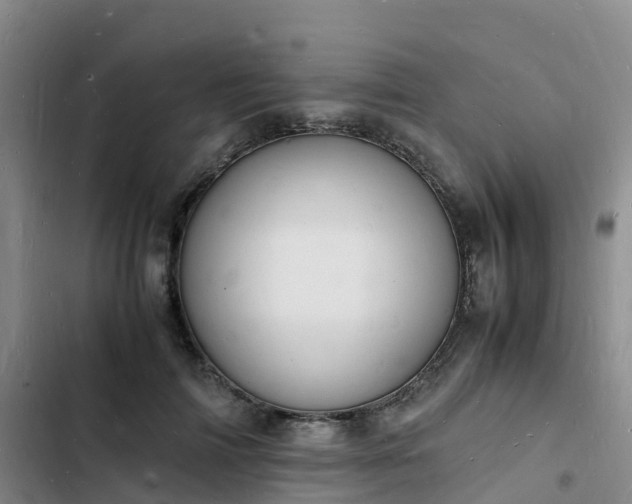 X0000102780698200808251116