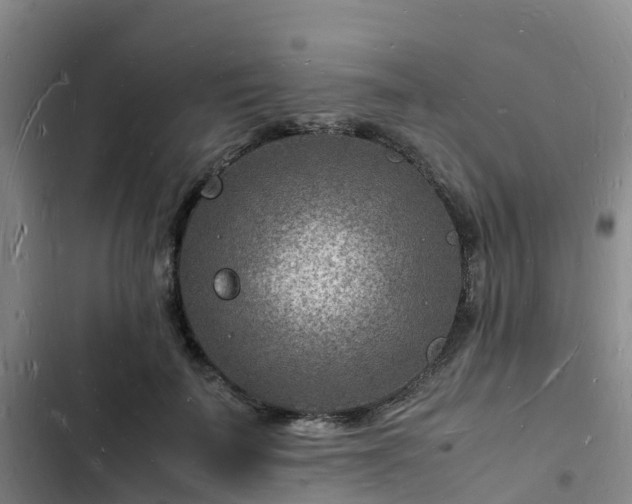 X0000102780699200808251116