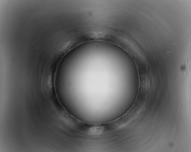 X0000102780700200808251116