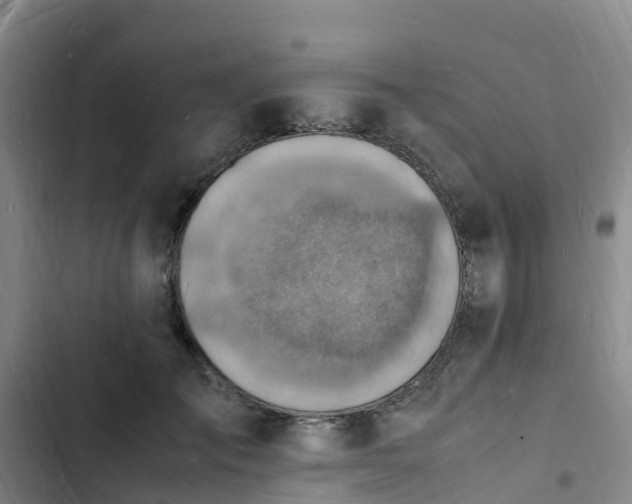 X0000102780701200808251116