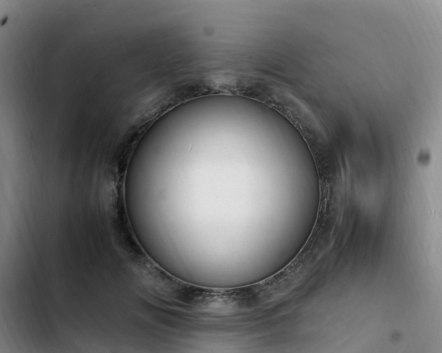 X0000102780702200808251116