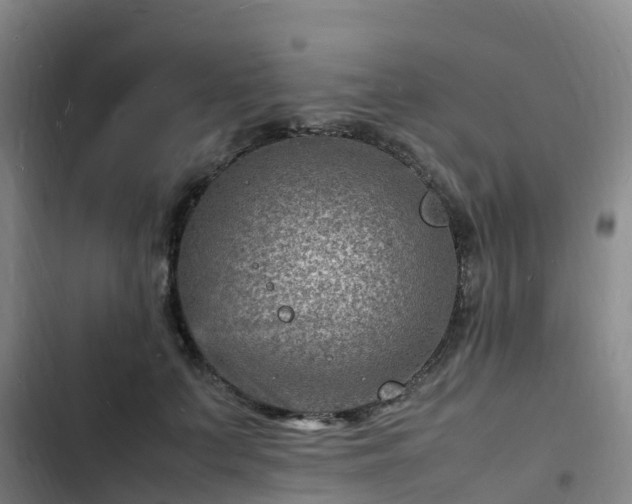 X0000102780703200808251116