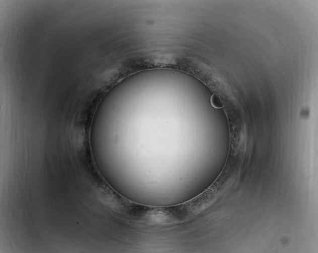 X0000102780704200808251116