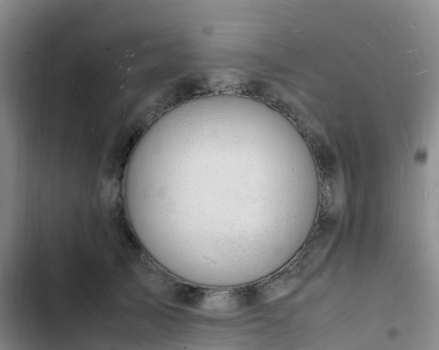 X0000102780705200808251116