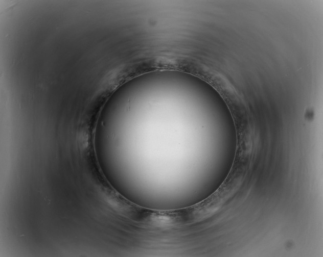 X0000102780706200808251116