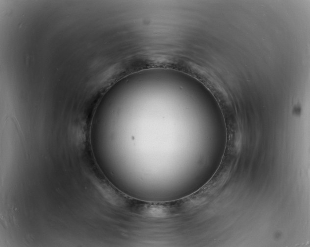 X0000102780710200808251116