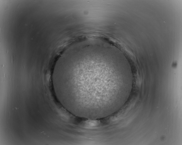 X0000102780711200808251116