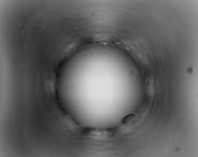 X0000102780712200808251116