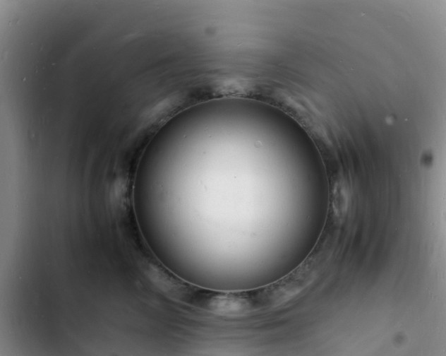 X0000102780714200808251116