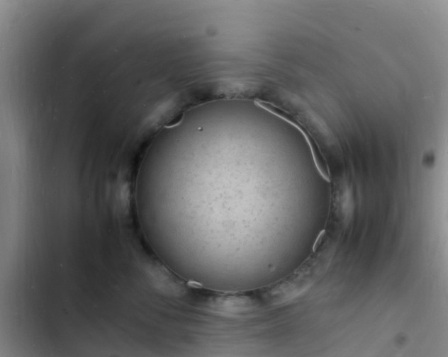 X0000102780716200808251116