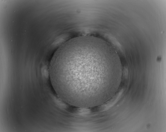 X0000102780719200808251116