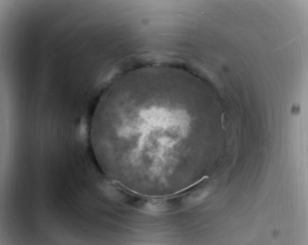 X0000102780720200808251116