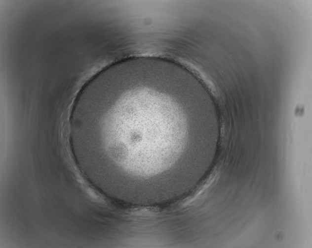 X0000102780721200808251115