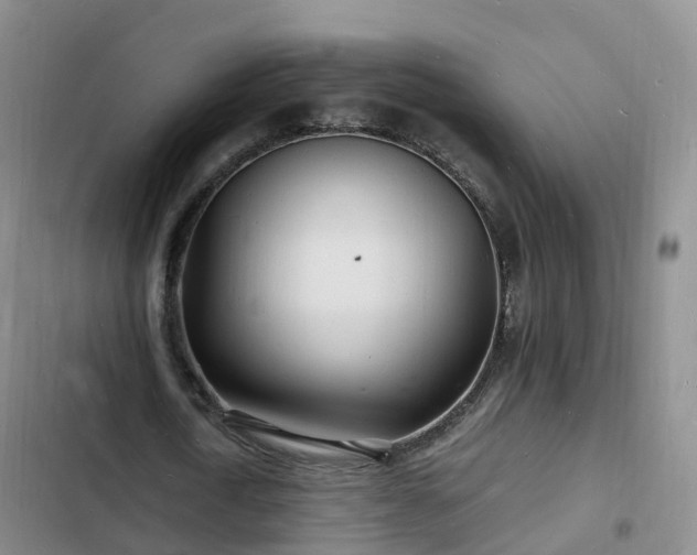 X0000102780722200808251115