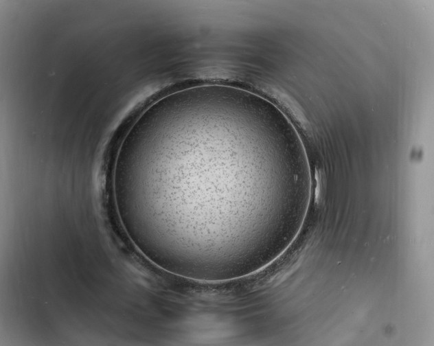 X0000102780723200808251115