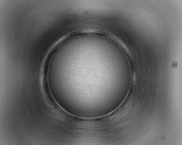 X0000102780724200808251115