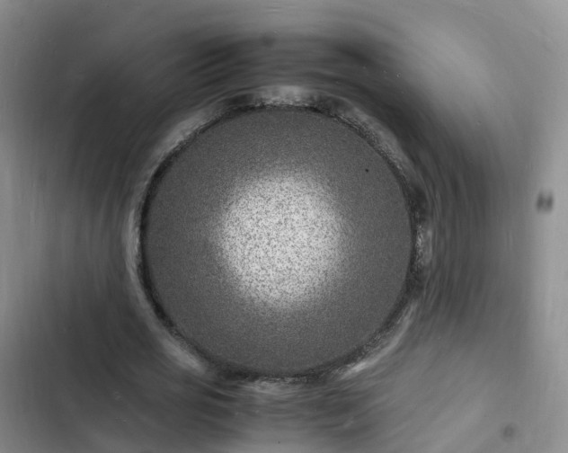 X0000102780725200808251115