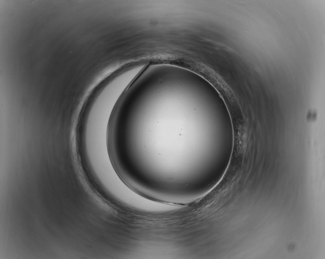 X0000102780726200808251115