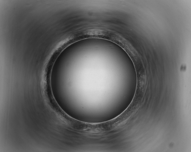 X0000102780727200808251115