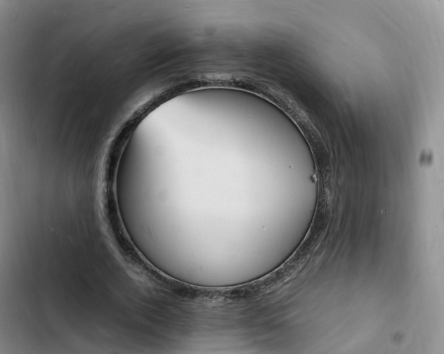 X0000102780728200808251115